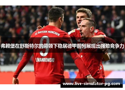弗赖堡在舒斯特尔的带领下稳居德甲前列展现出强劲竞争力