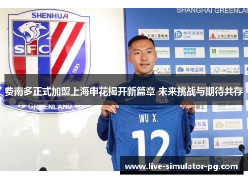 费南多正式加盟上海申花揭开新篇章 未来挑战与期待共存